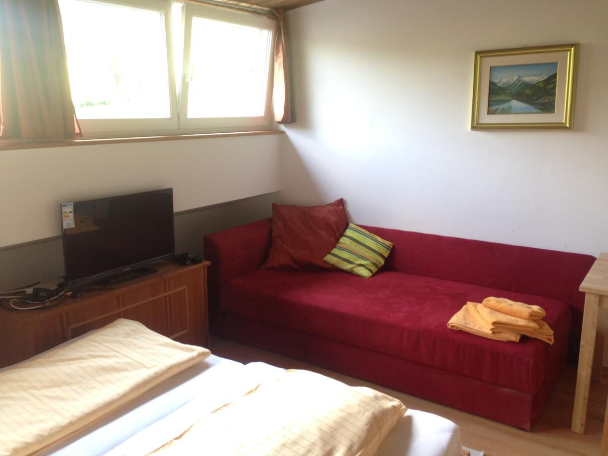 Apartments Mitteregg ザールバッハ・ヒンターグレム エクステリア 写真