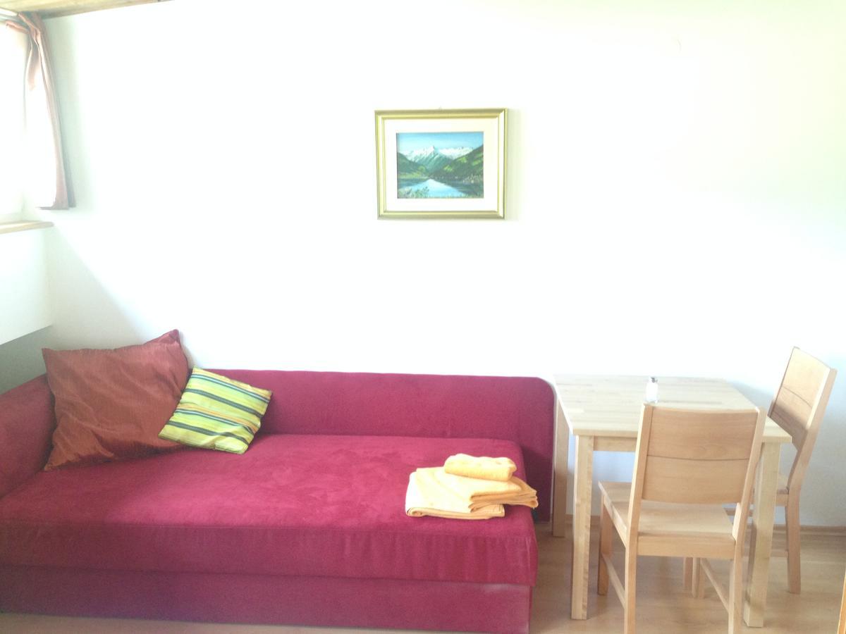 Apartments Mitteregg ザールバッハ・ヒンターグレム エクステリア 写真
